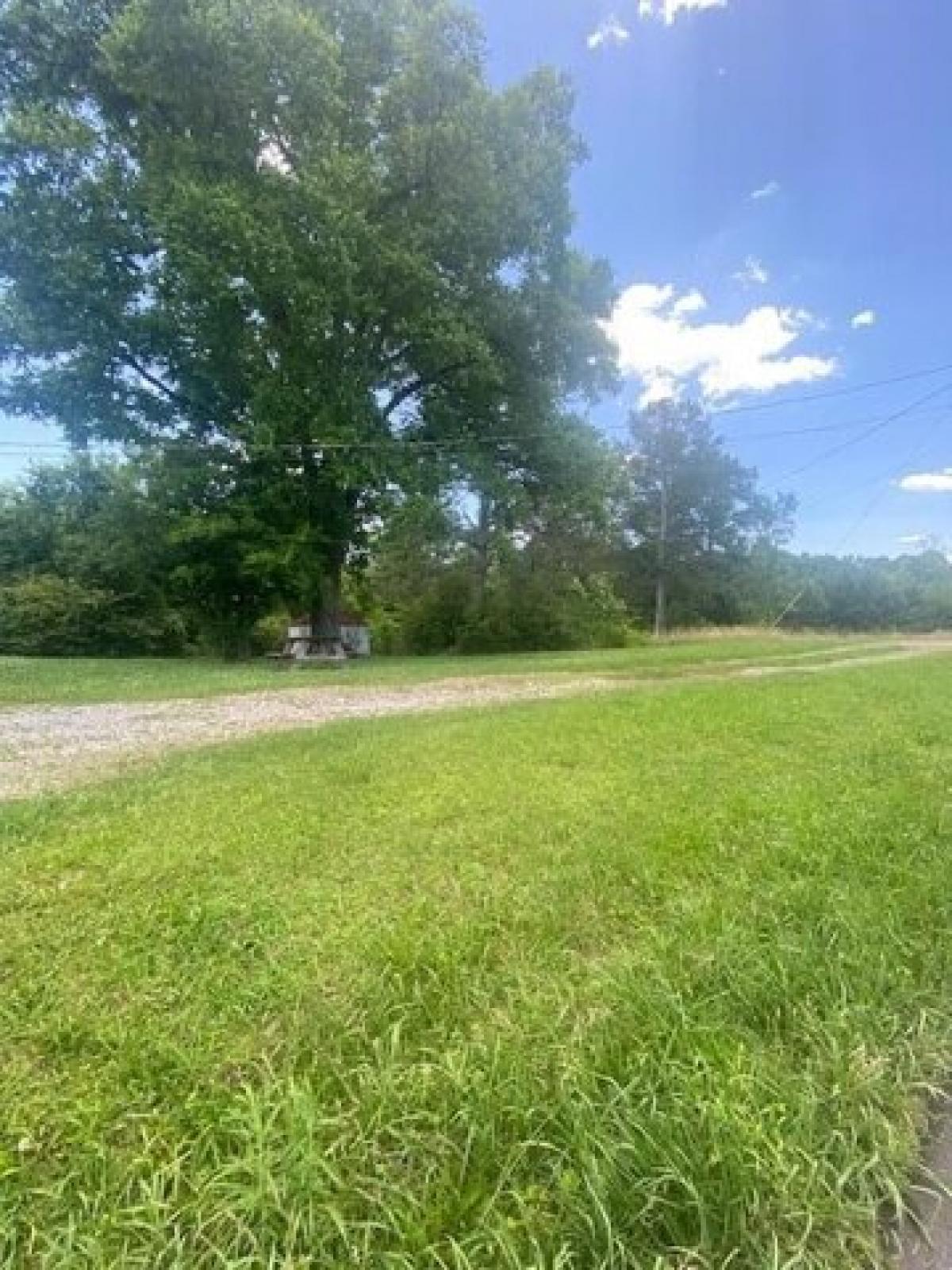 Picture of Residential Land For Sale in Chatsworth, Georgia, United States