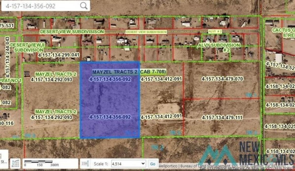 Picture of Residential Land For Sale in Carlsbad, New Mexico, United States