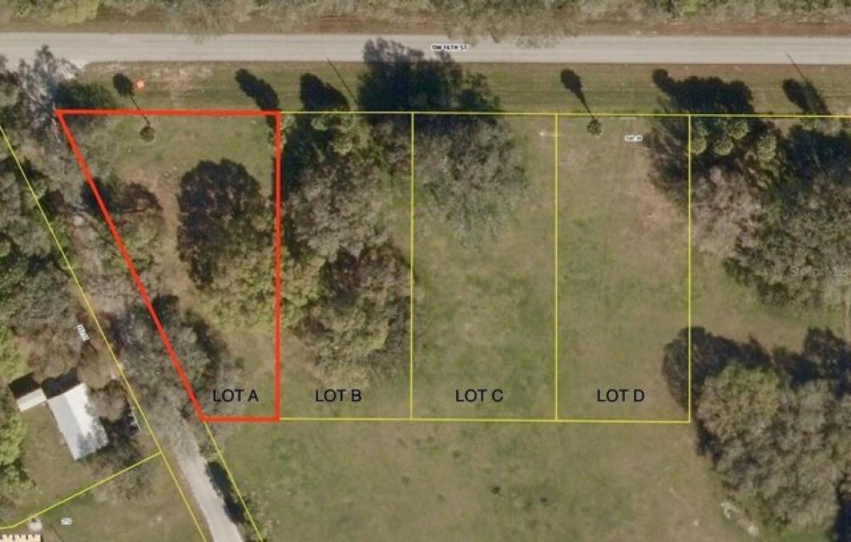 Picture of Residential Land For Sale in Okeechobee, Florida, United States