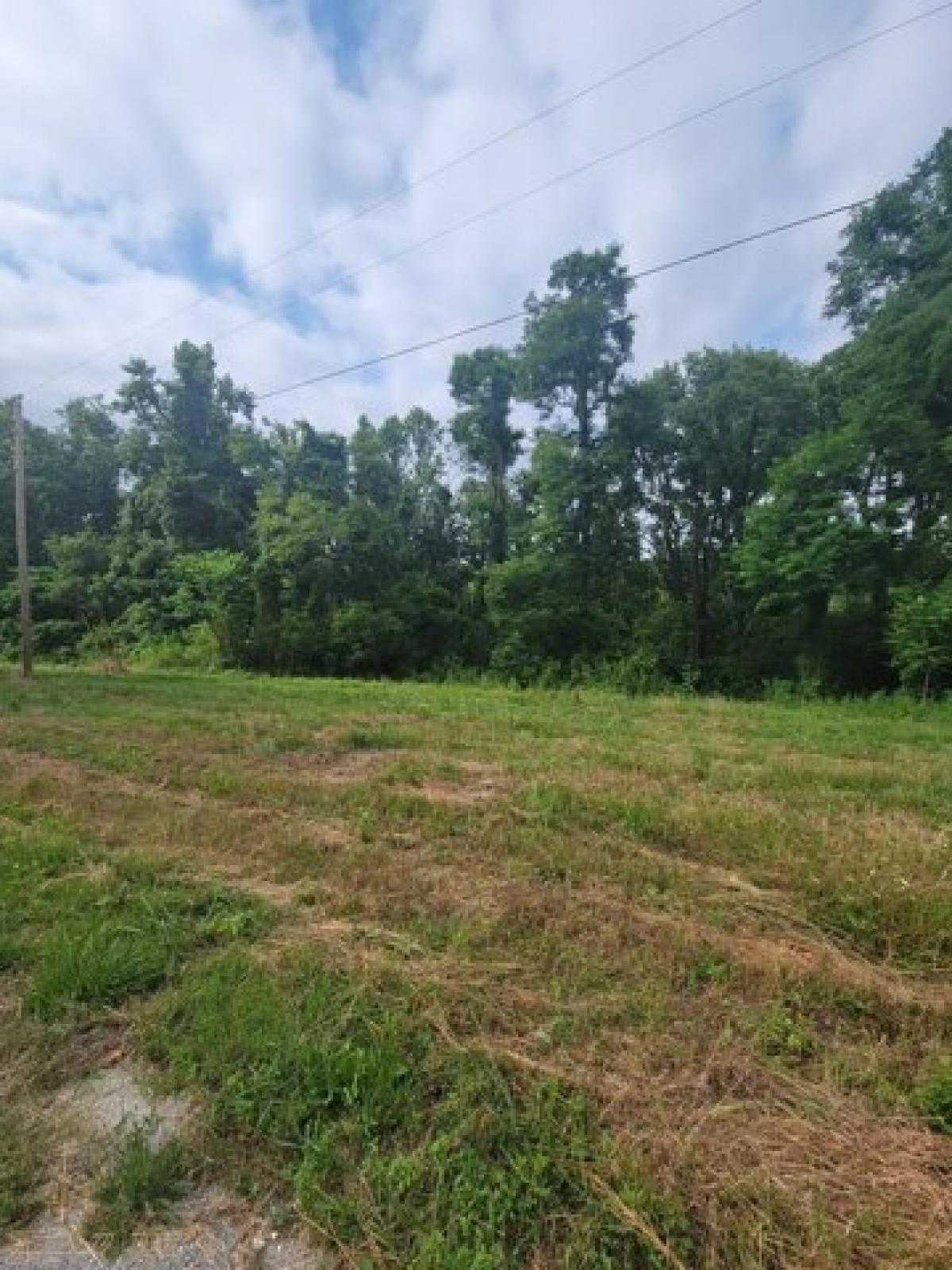 Picture of Residential Land For Sale in Beechgrove, Tennessee, United States