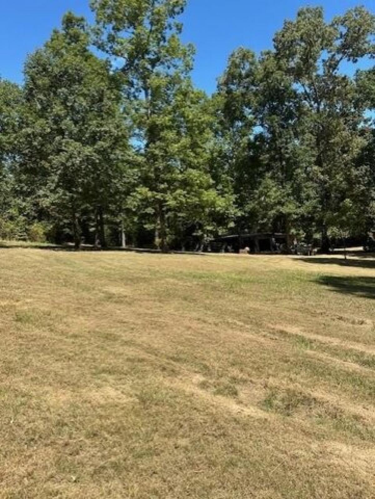 Picture of Residential Land For Sale in Abbeville, Alabama, United States