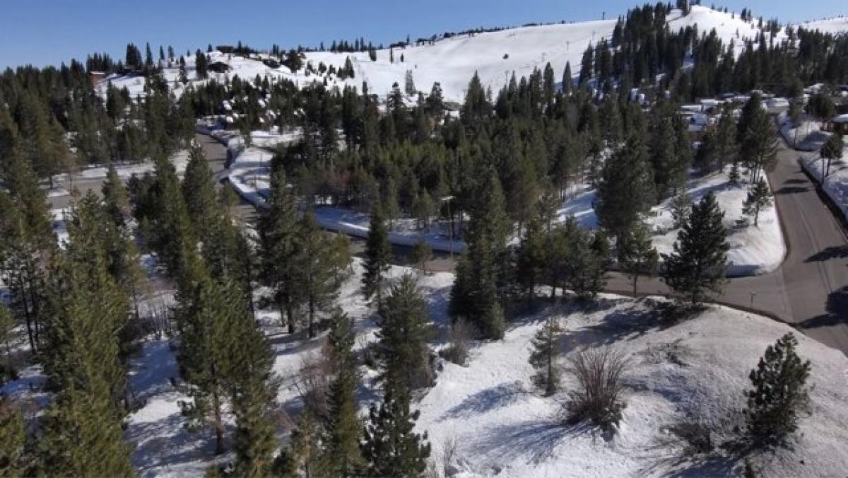 Picture of Residential Land For Sale in Truckee, California, United States