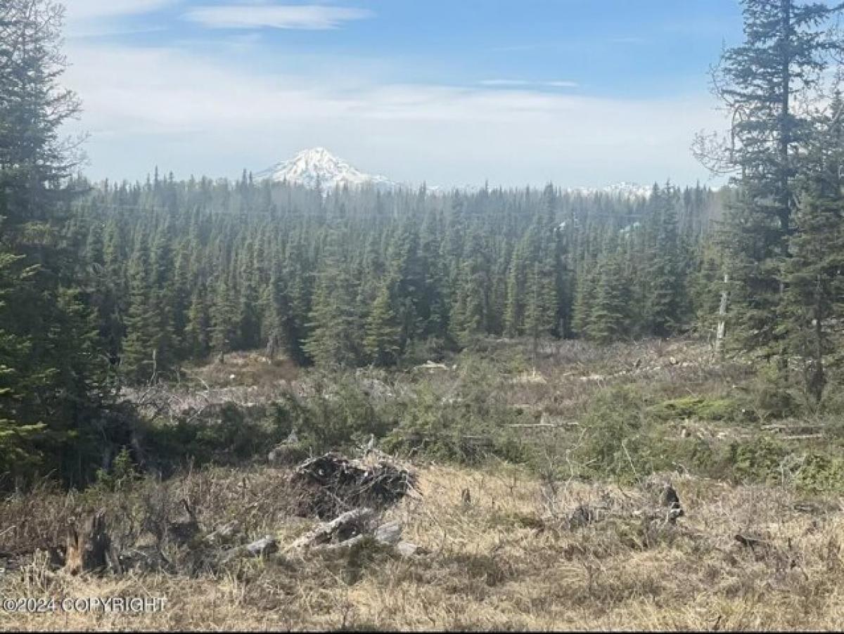 Picture of Residential Land For Sale in Clam Gulch, Alaska, United States