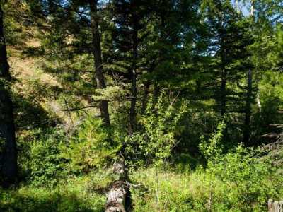 Residential Land For Sale in Wolf Creek, Montana