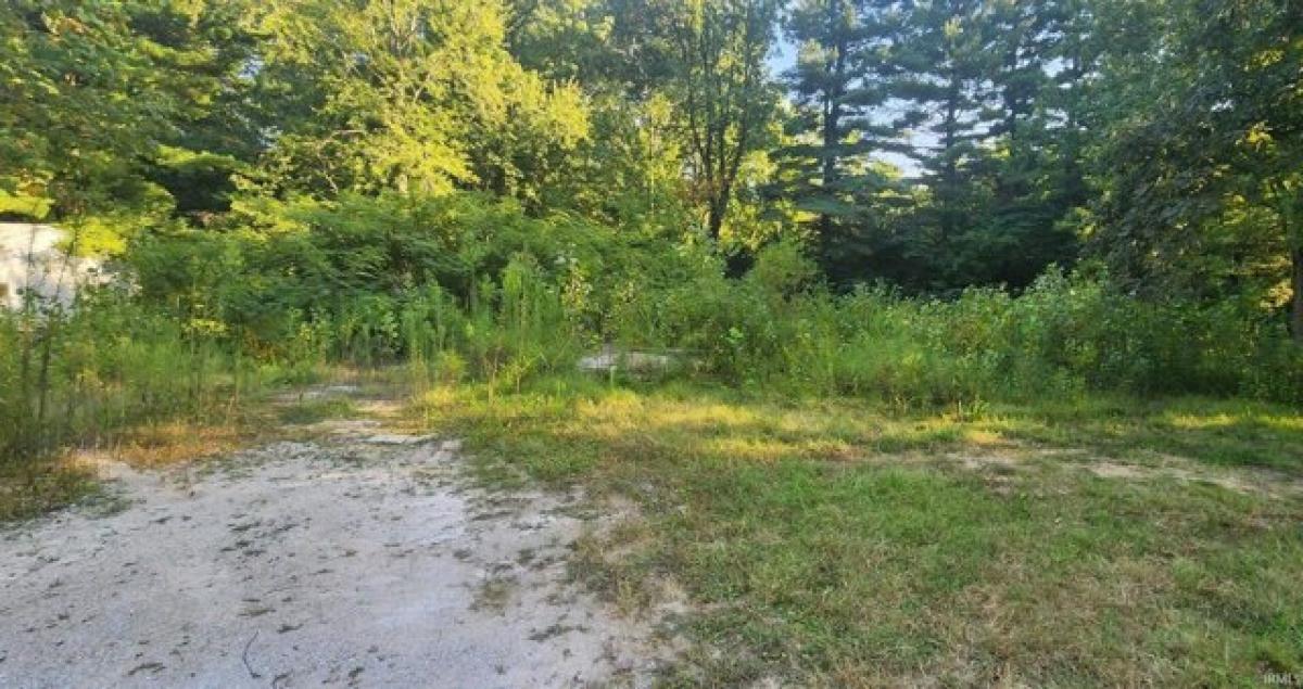 Picture of Residential Land For Sale in Petersburg, Indiana, United States