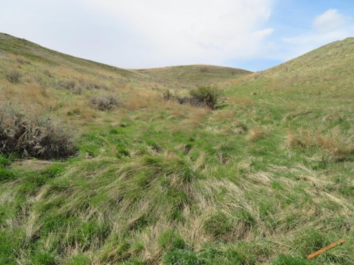 Picture of Residential Land For Sale in Havre, Montana, United States