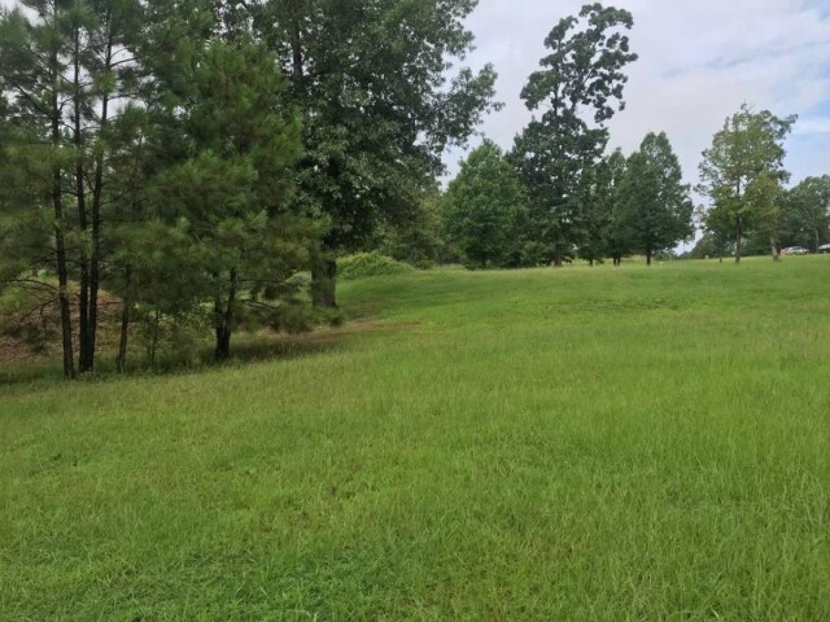 Picture of Residential Land For Sale in Many, Louisiana, United States