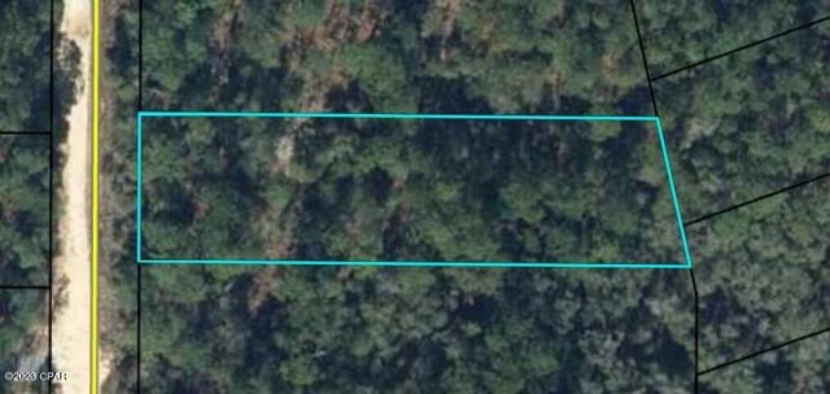 Picture of Residential Land For Sale in Chipley, Florida, United States