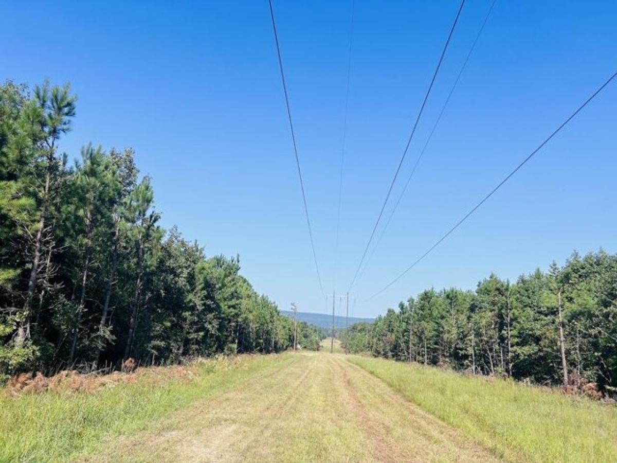 Picture of Residential Land For Sale in Leesburg, Alabama, United States