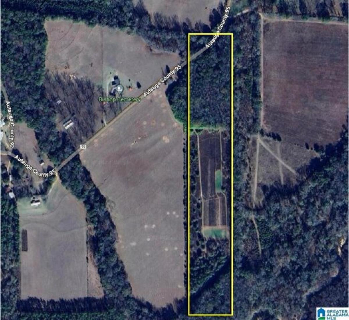 Picture of Residential Land For Sale in Jones, Alabama, United States