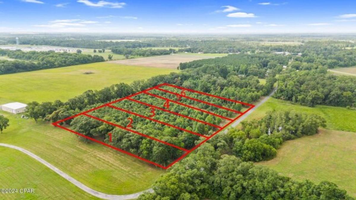 Picture of Residential Land For Sale in Graceville, Florida, United States