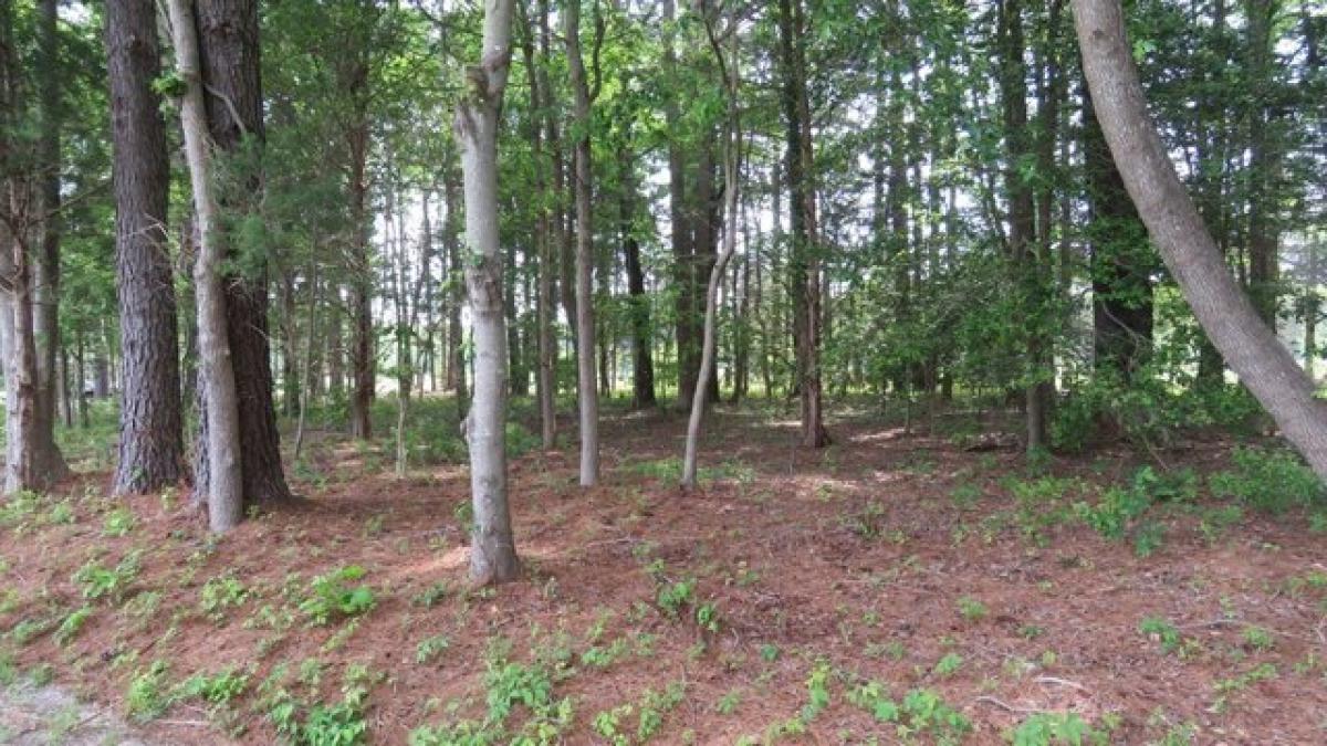 Picture of Residential Land For Sale in Kilmarnock, Virginia, United States