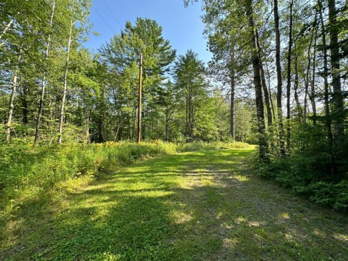 Picture of Residential Land For Sale in Winter, Wisconsin, United States