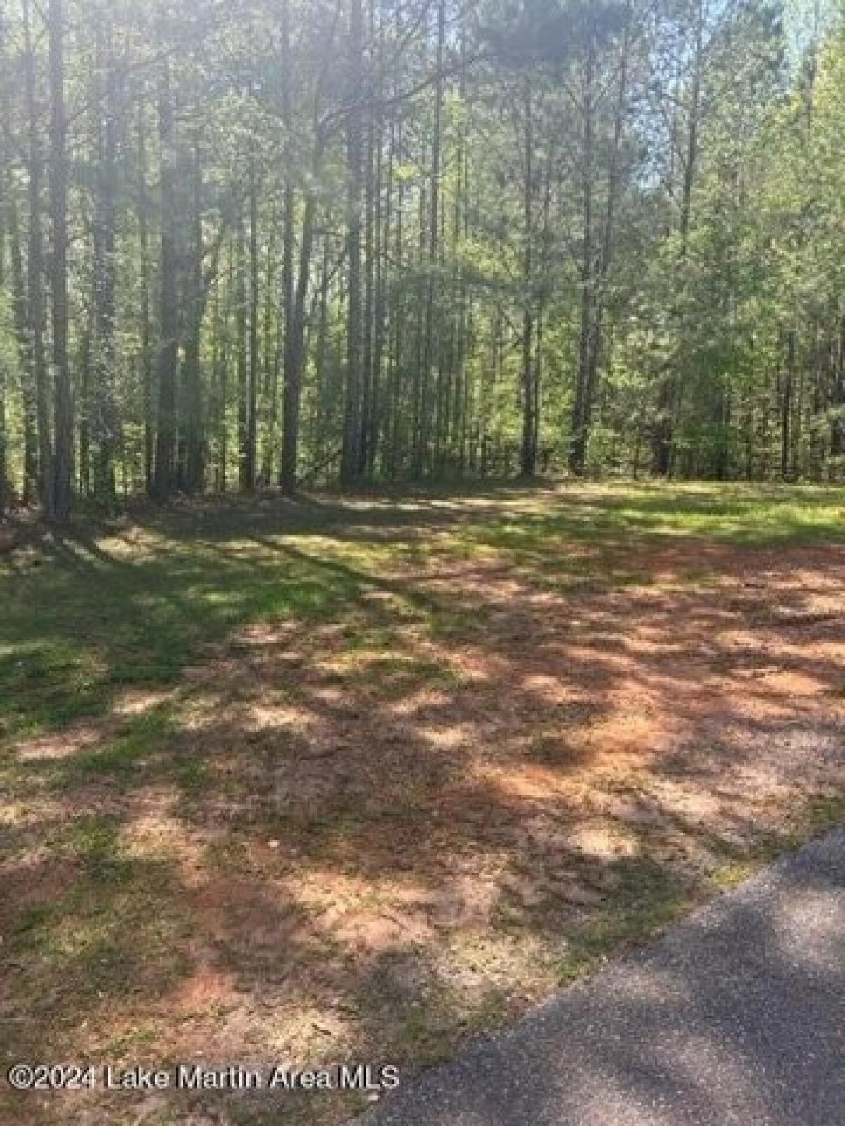 Picture of Residential Land For Sale in Dadeville, Alabama, United States