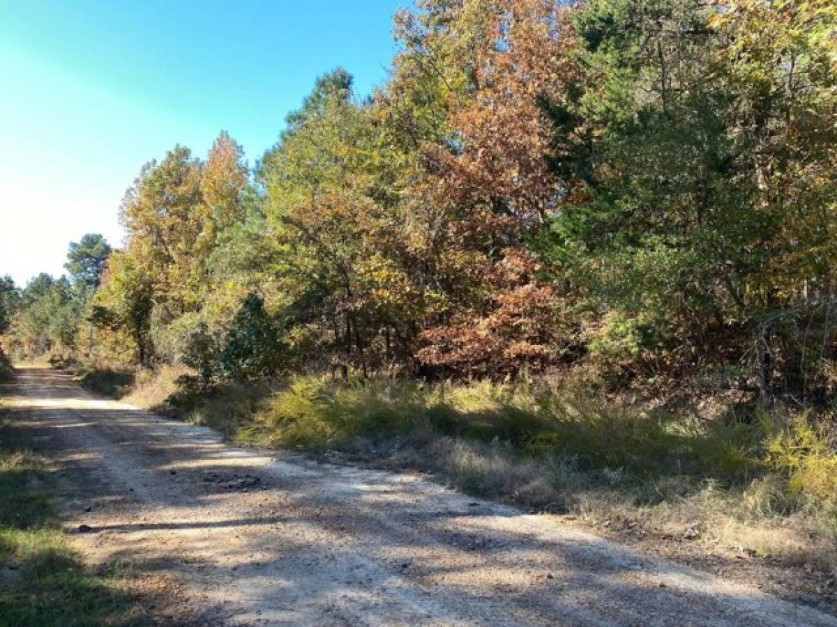 Picture of Residential Land For Sale in Coila, Mississippi, United States