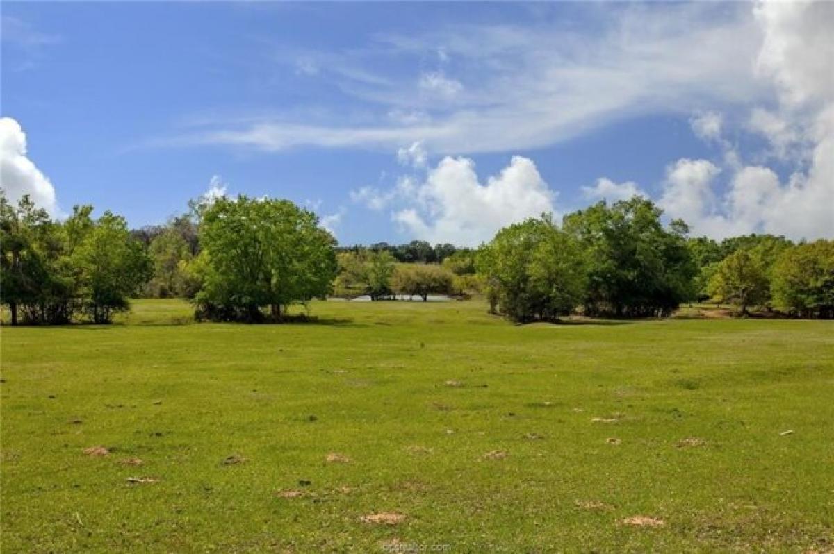 Picture of Residential Land For Sale in Milano, Texas, United States