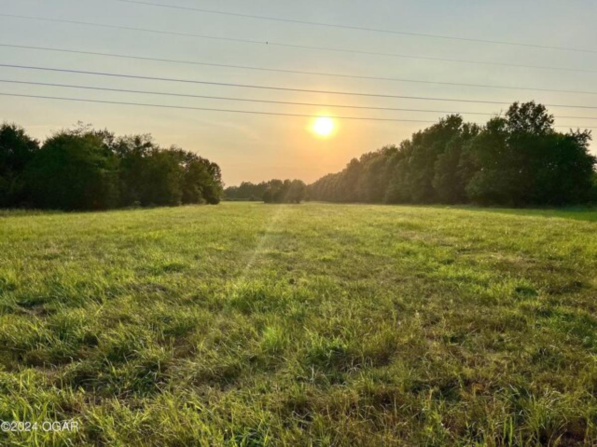 Picture of Residential Land For Sale in Carl Junction, Missouri, United States