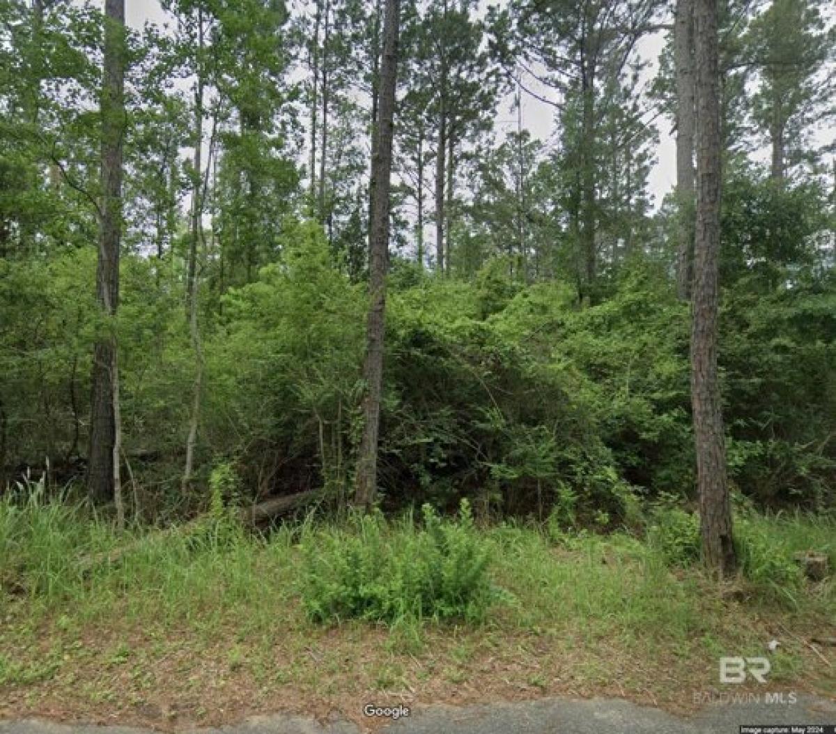 Picture of Residential Land For Sale in Foley, Alabama, United States