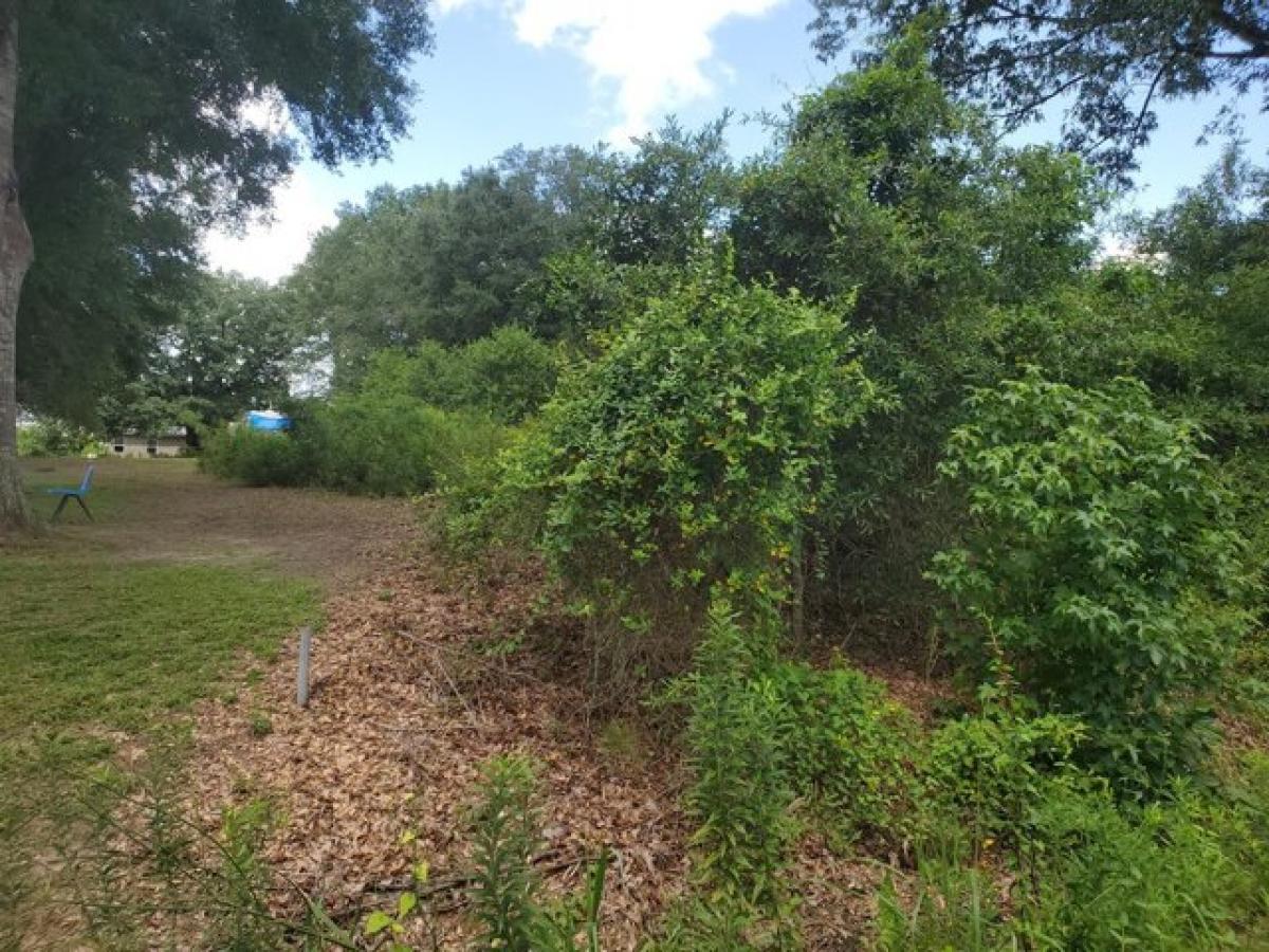 Picture of Residential Land For Rent in Deridder, Louisiana, United States