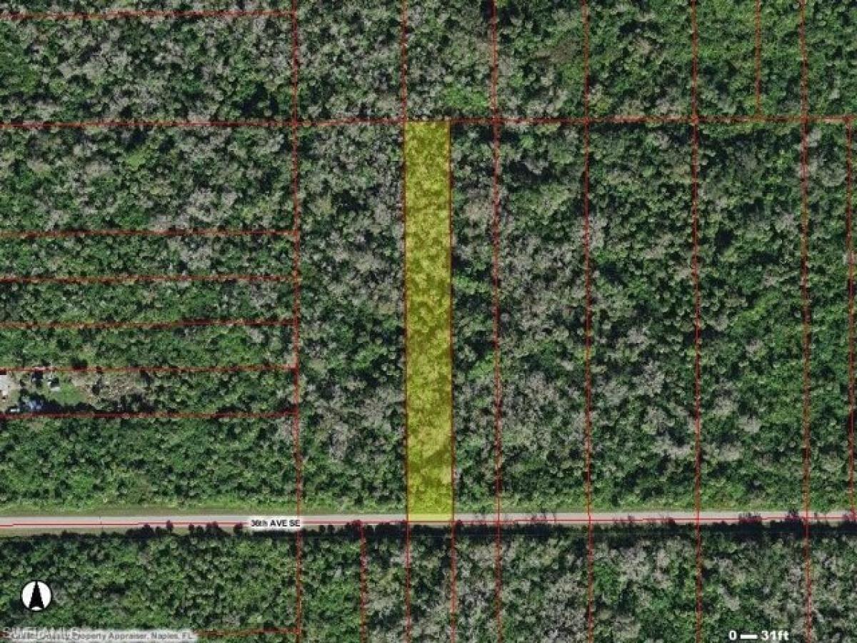 Picture of Residential Land For Sale in Naples, Florida, United States