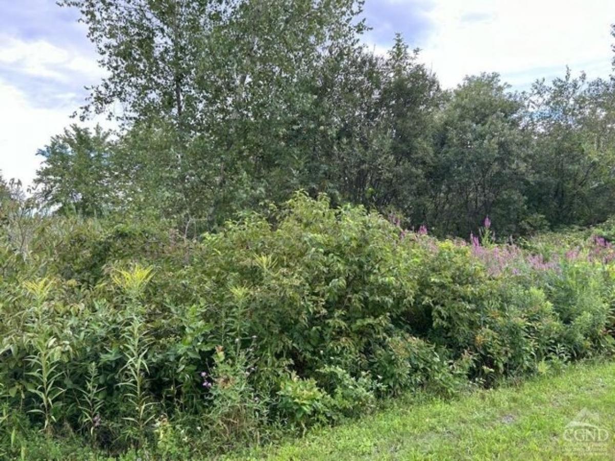 Picture of Residential Land For Sale in Coxsackie, New York, United States