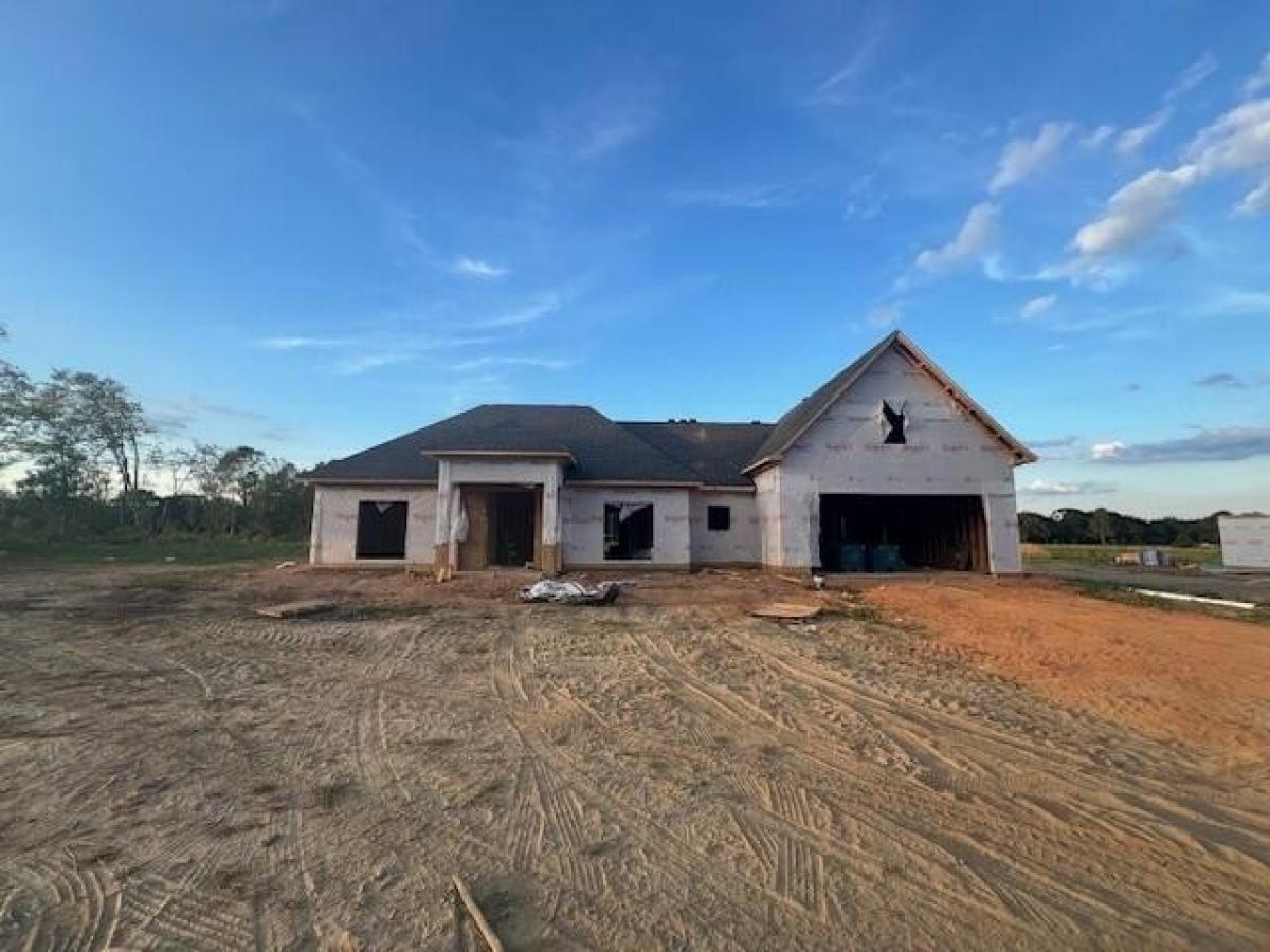 Picture of Home For Sale in Moselle, Mississippi, United States