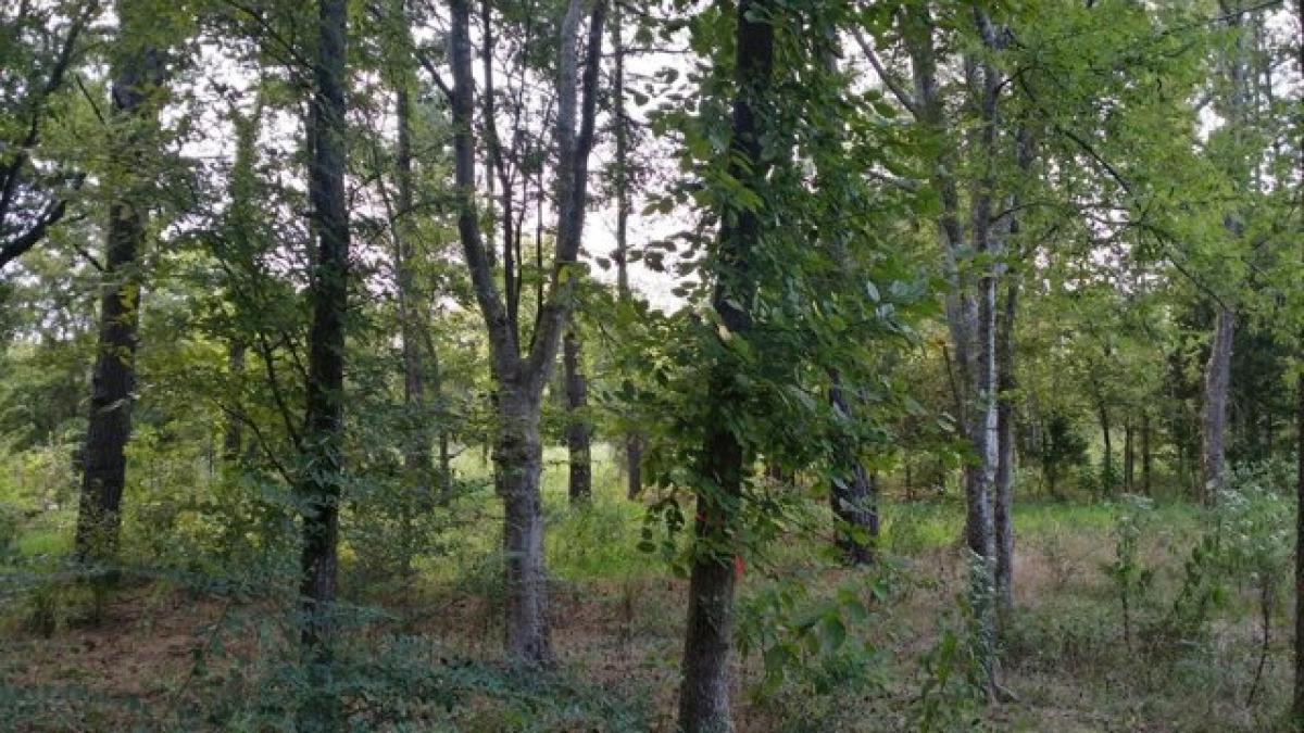 Picture of Residential Land For Sale in Athens, Texas, United States