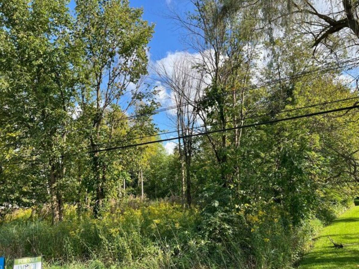 Picture of Residential Land For Sale in Owosso, Michigan, United States