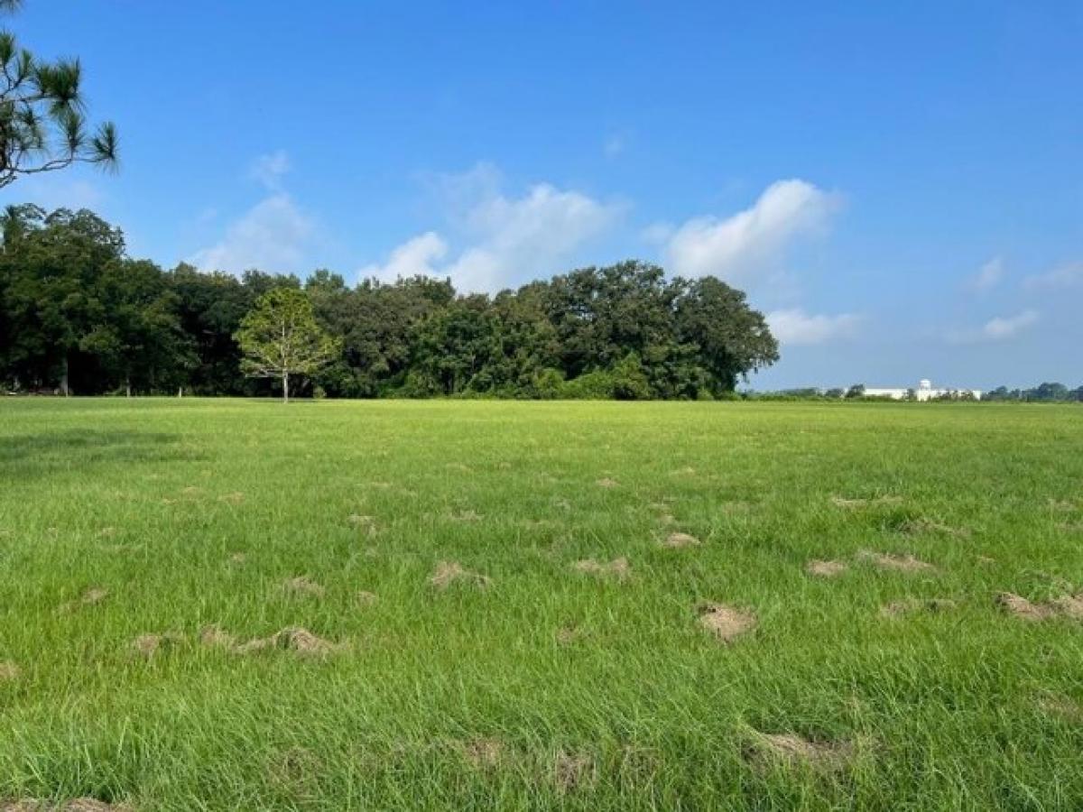 Picture of Residential Land For Sale in Cairo, Georgia, United States