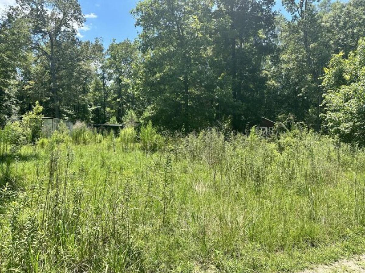 Picture of Residential Land For Sale in Andrews, South Carolina, United States