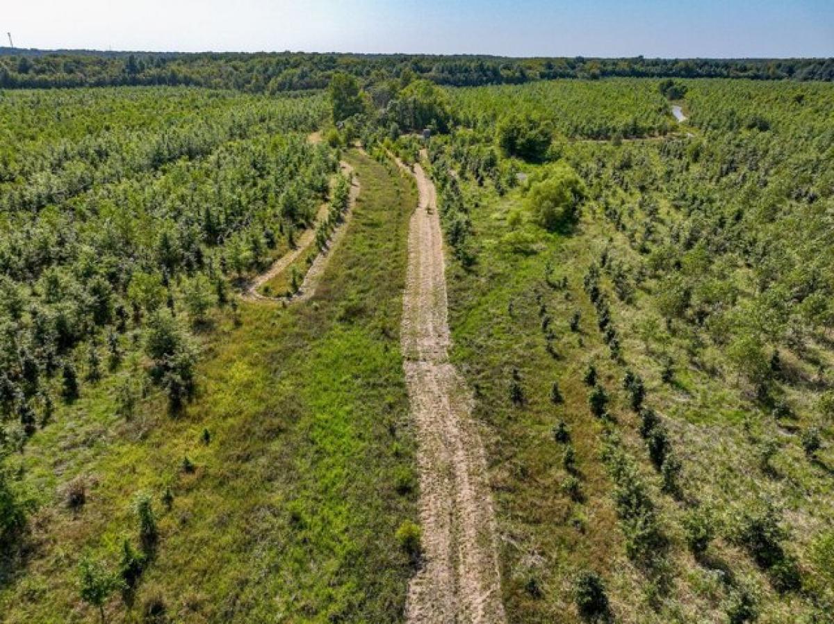 Picture of Residential Land For Sale in Clay City, Illinois, United States