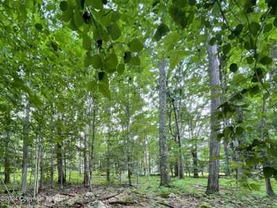 Residential Land For Sale in Canadensis, Pennsylvania