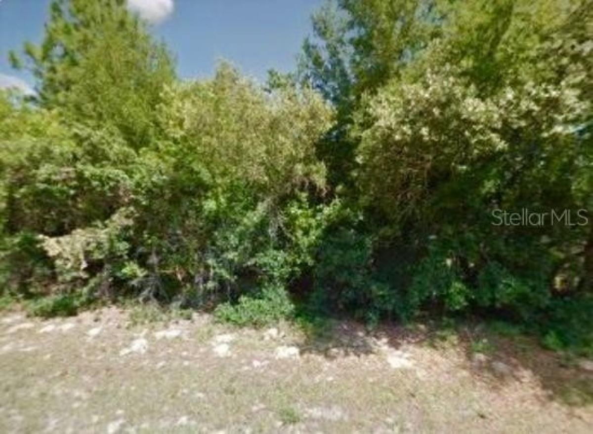 Picture of Residential Land For Sale in Citrus Springs, Florida, United States