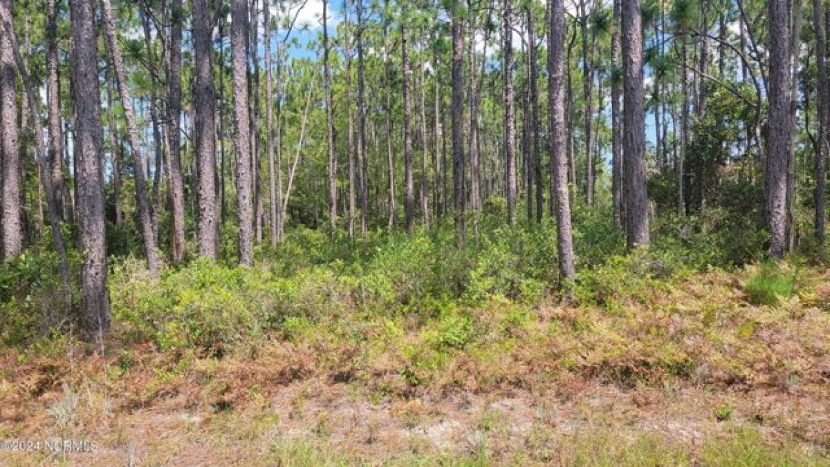 Picture of Residential Land For Sale in Southport, North Carolina, United States