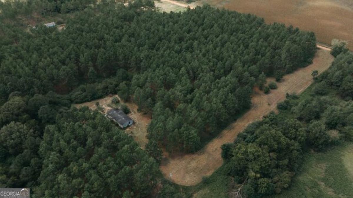 Picture of Home For Sale in Leslie, Georgia, United States