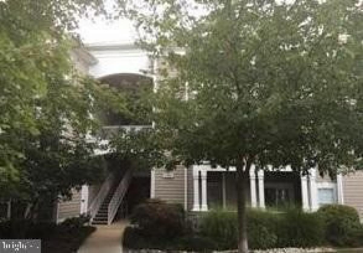 Picture of Apartment For Rent in Reston, Virginia, United States