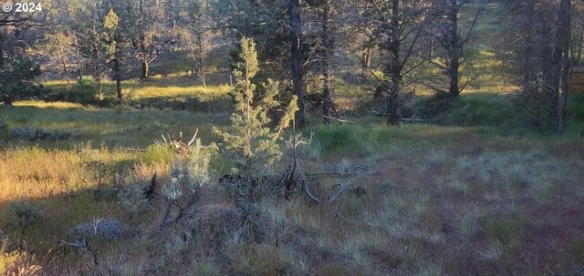 Picture of Residential Land For Sale in Prineville, Oregon, United States