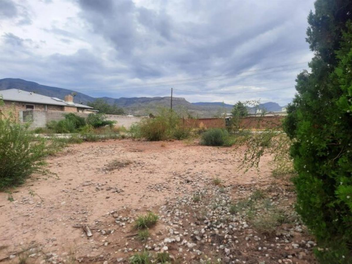 Picture of Residential Land For Sale in Alamogordo, New Mexico, United States