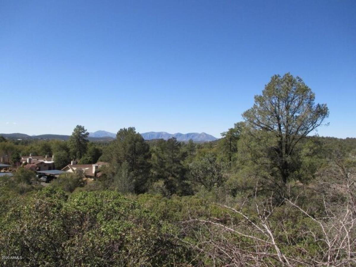 Picture of Residential Land For Sale in Payson, Arizona, United States