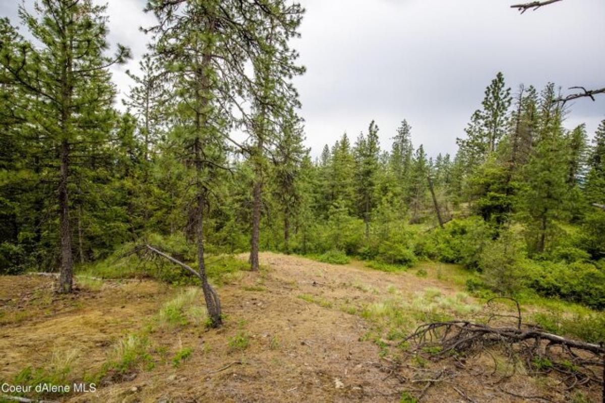 Picture of Residential Land For Sale in Rathdrum, Idaho, United States