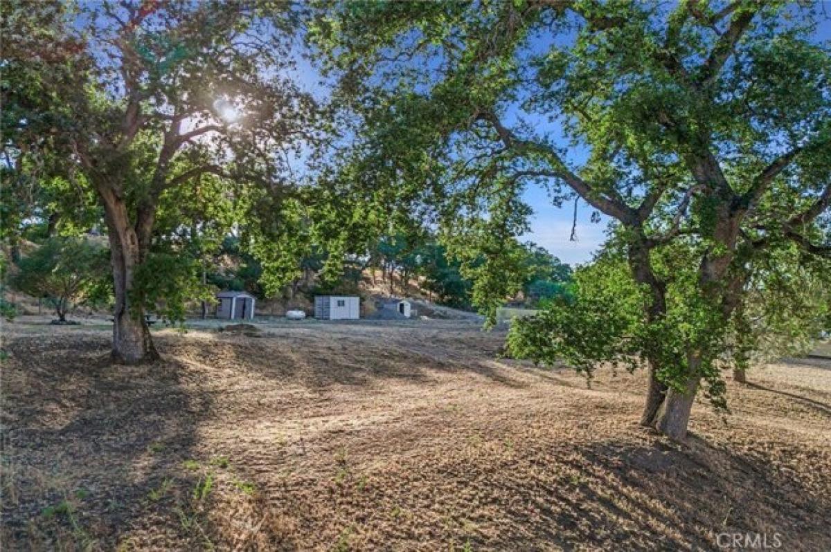 Picture of Residential Land For Sale in Corning, California, United States