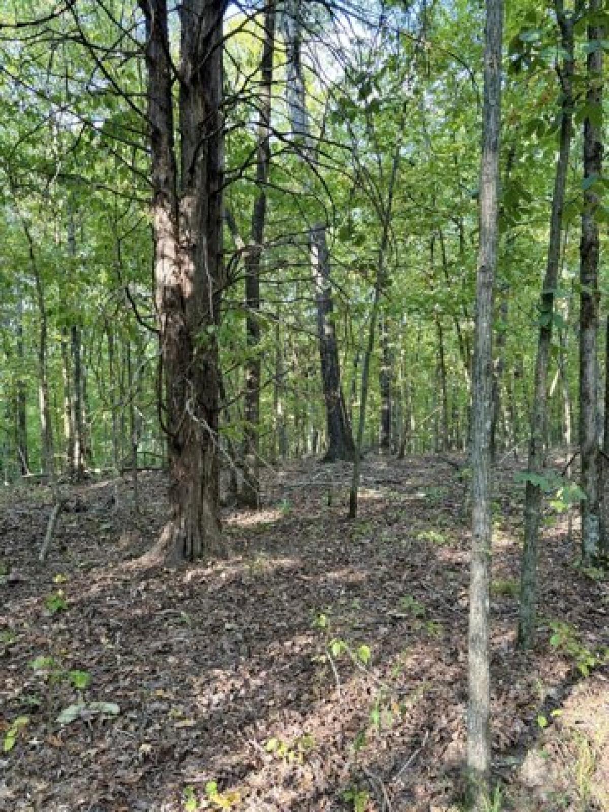 Picture of Residential Land For Sale in Linden, Tennessee, United States