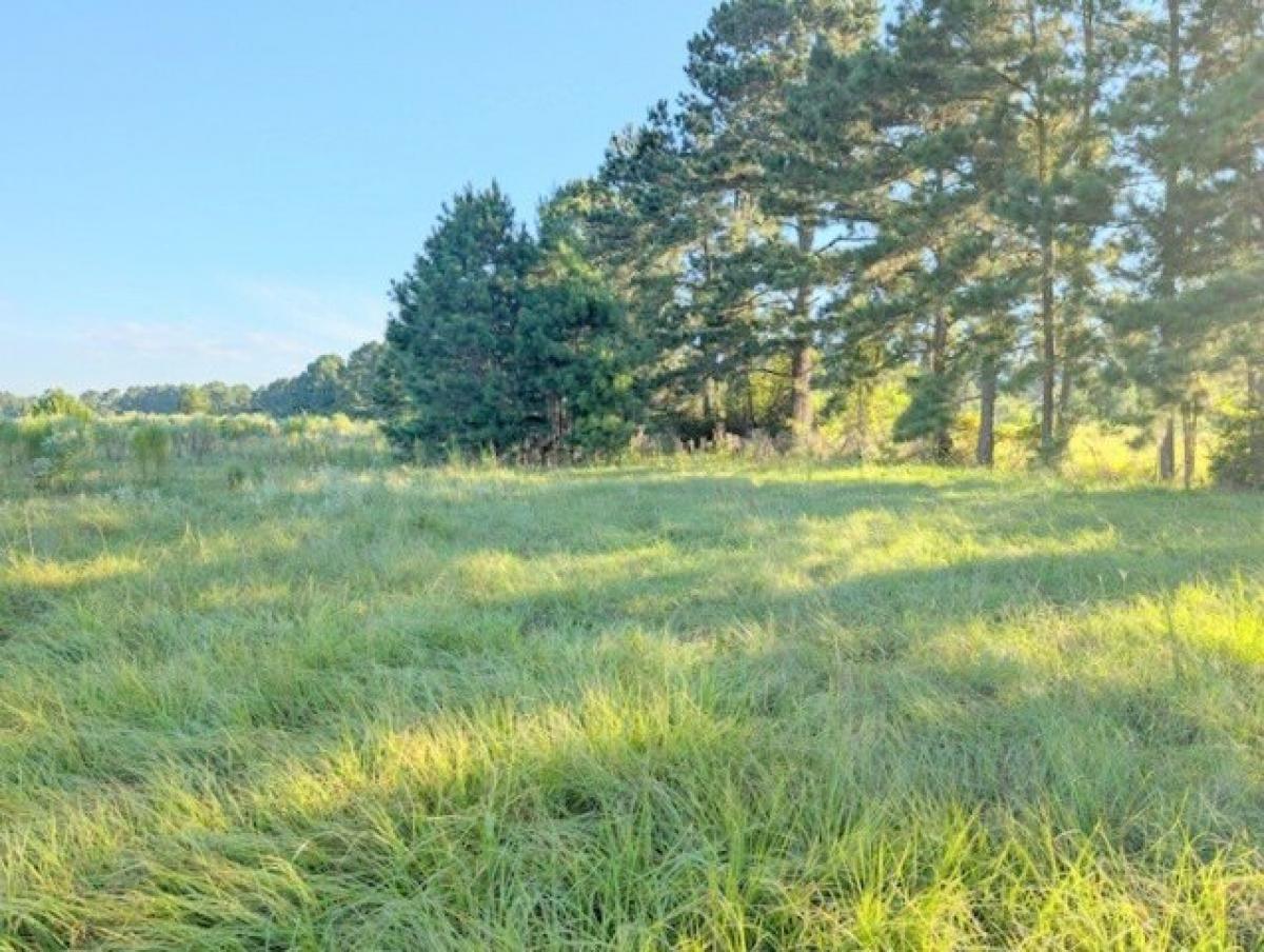 Picture of Residential Land For Sale in Lovelady, Texas, United States