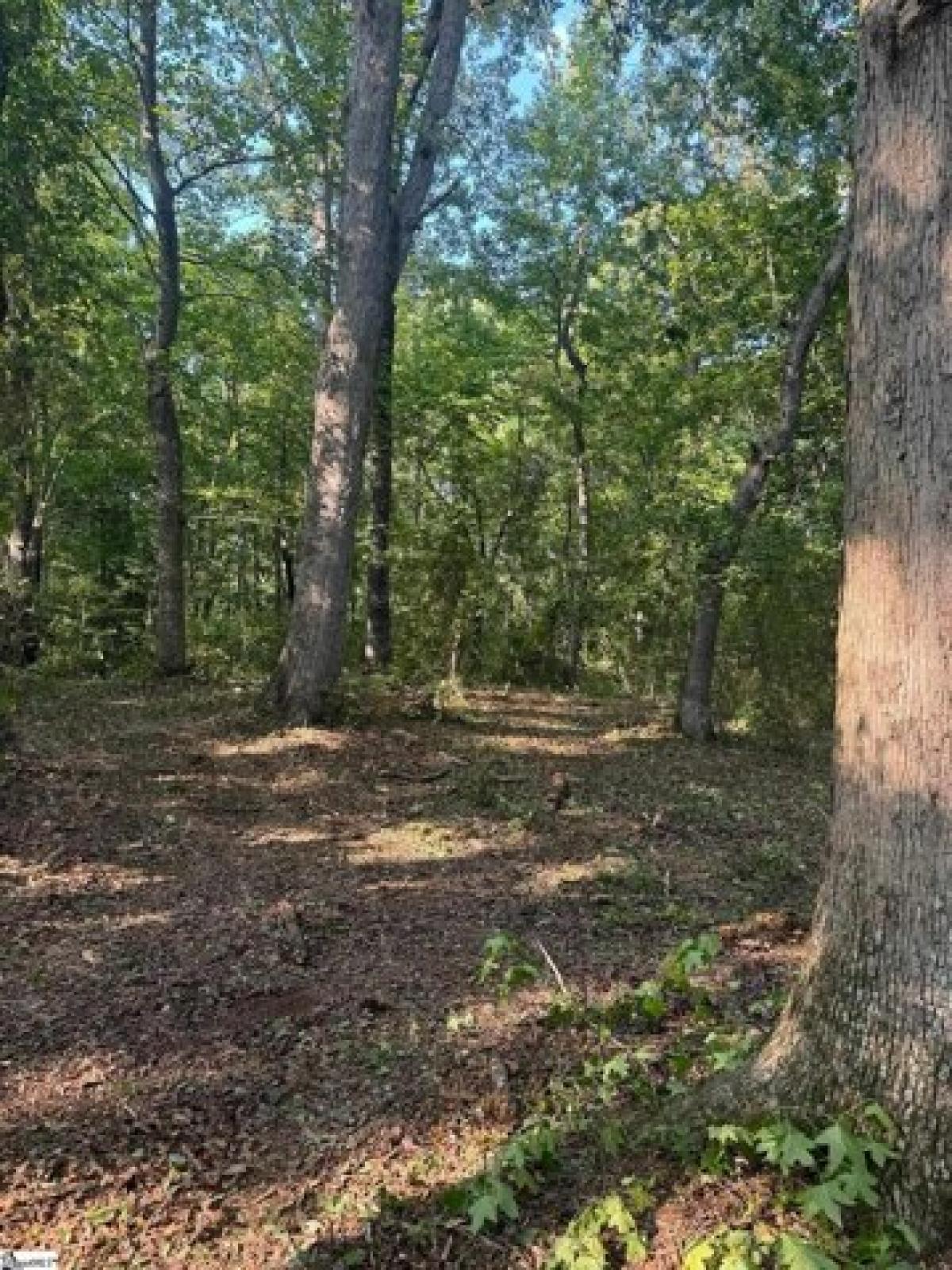 Picture of Residential Land For Sale in Greer, South Carolina, United States