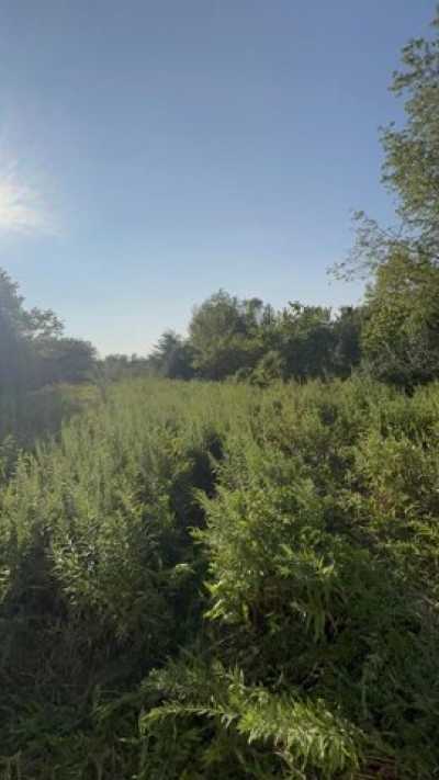 Residential Land For Sale in 