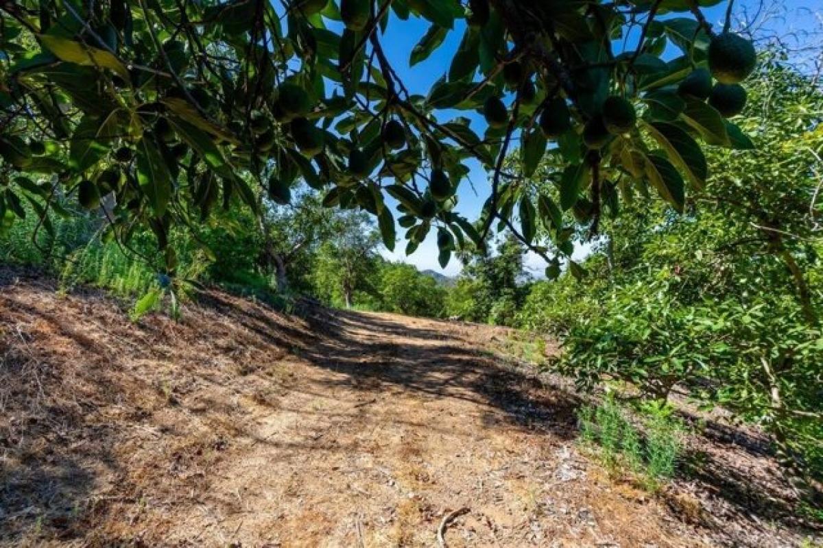 Picture of Residential Land For Sale in Fallbrook, California, United States