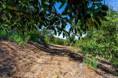 Residential Land For Sale in 