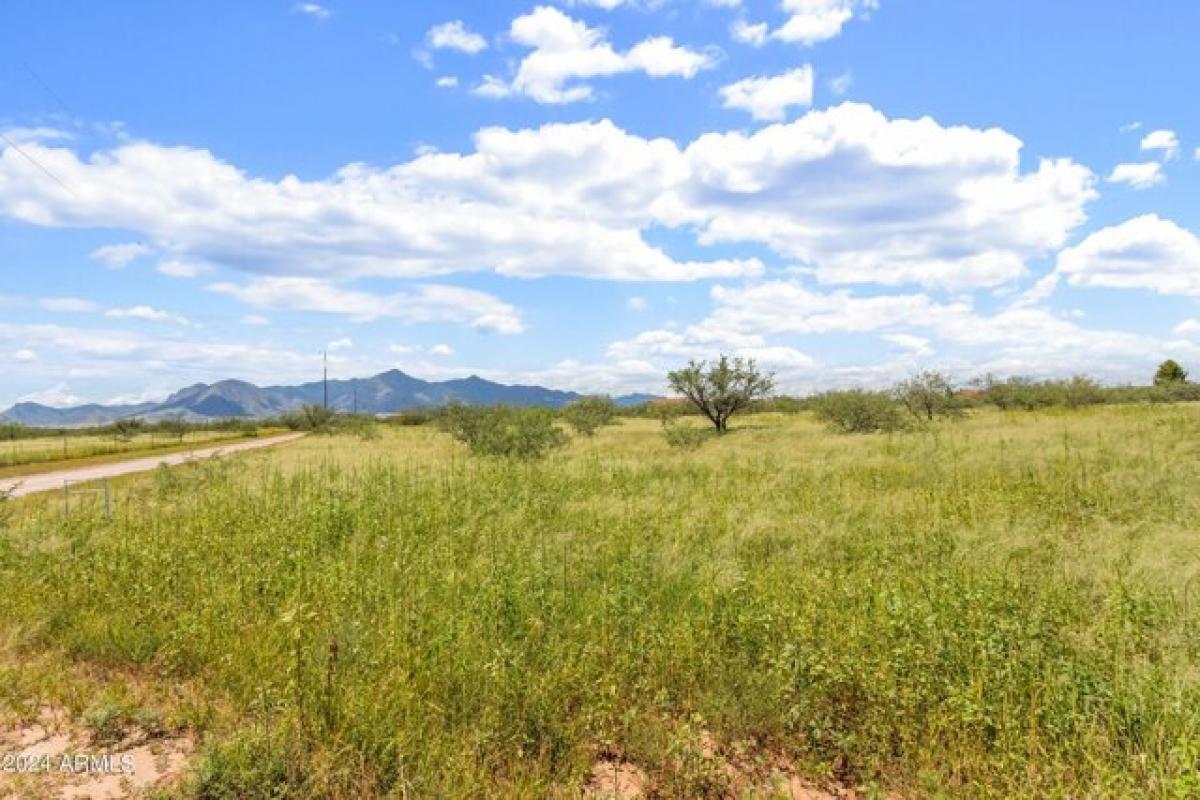 Picture of Residential Land For Sale in Hereford, Arizona, United States