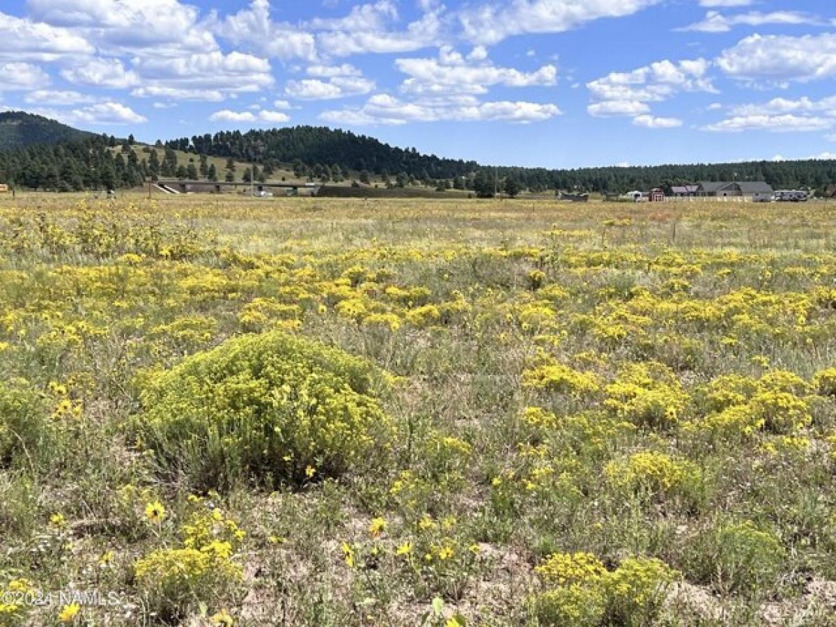 Picture of Residential Land For Sale in Williams, Arizona, United States