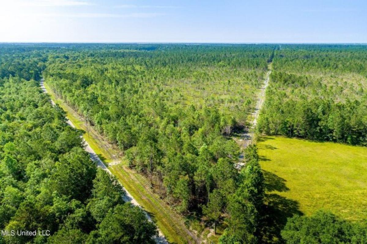 Picture of Residential Land For Sale in Bay Saint Louis, Mississippi, United States